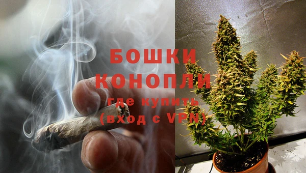 гидра Богородск