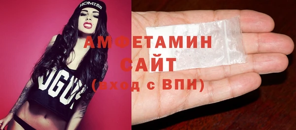 гидра Богородск