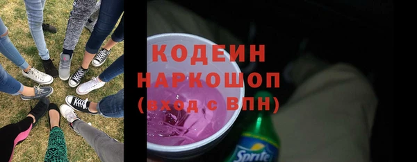 гидра Богородск