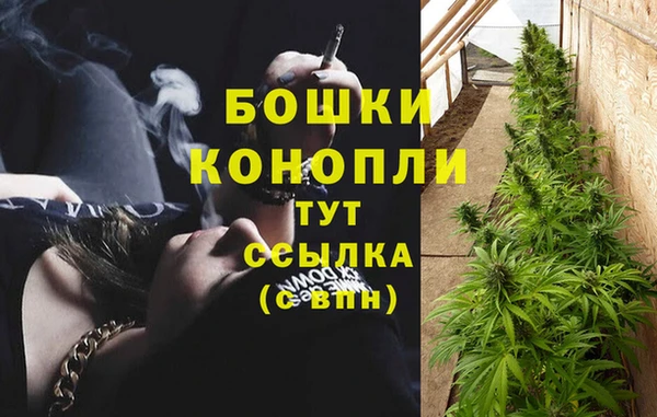 2c-b Богородицк