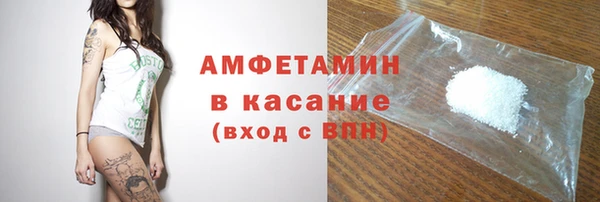 гидра Богородск