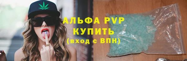 гидра Богородск