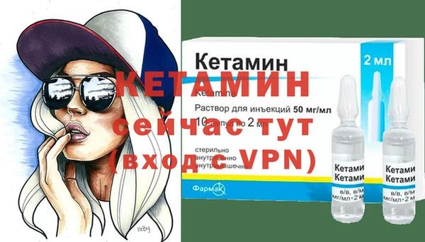 гидра Богородск