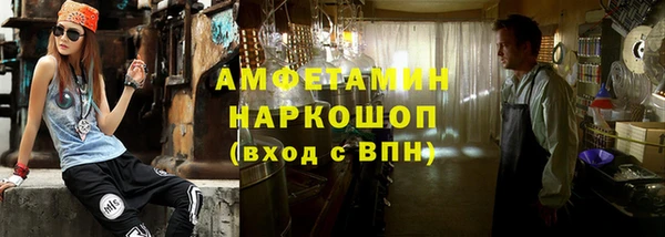 гидра Богородск
