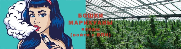2c-b Богородицк